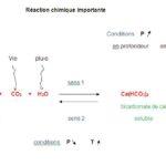19-reaction chimique